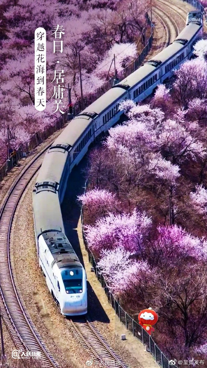 呈贡发布