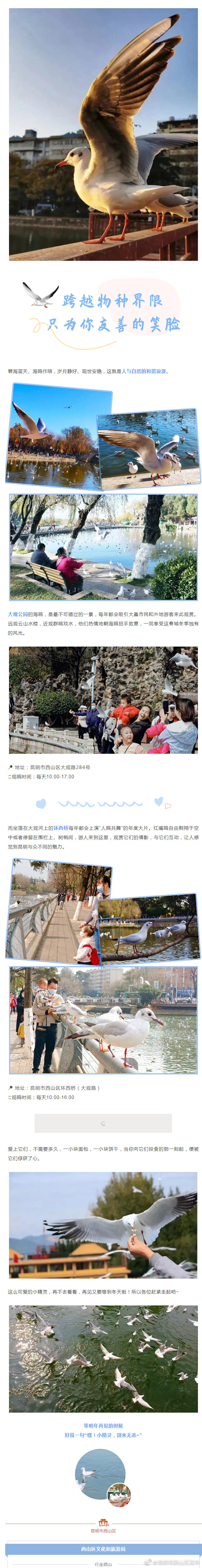 “昆明市西山区发布”微博