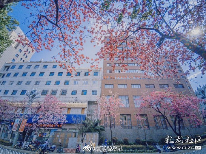 昆明发布