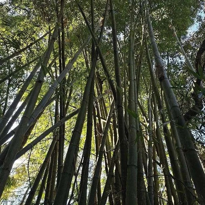 保山新闻网
