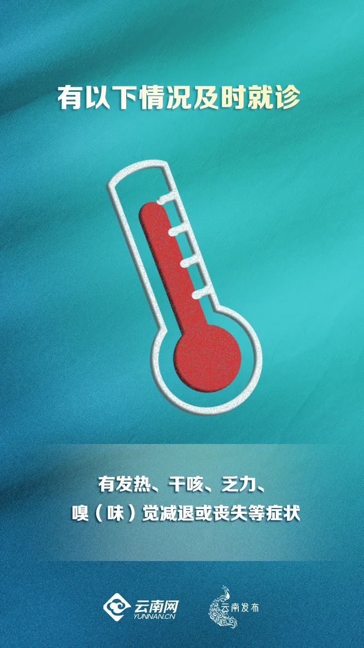 普洱日报