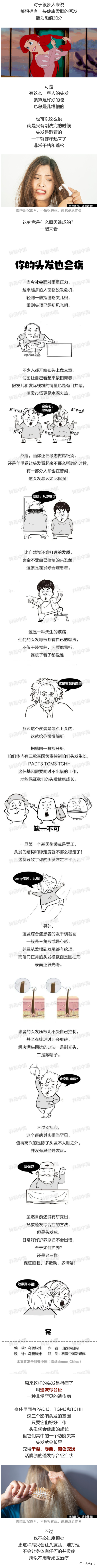 大理日报