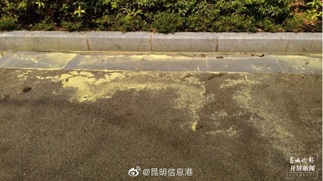 昆明信息港