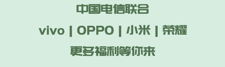 德宏团结报