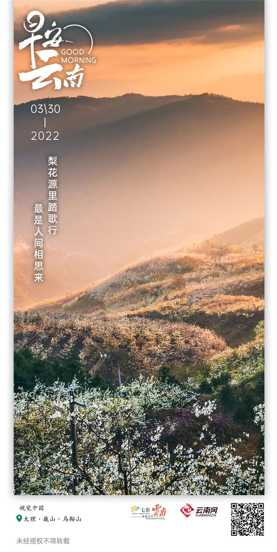 云南省人民政府网
