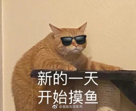 “昆明五华发布”微博