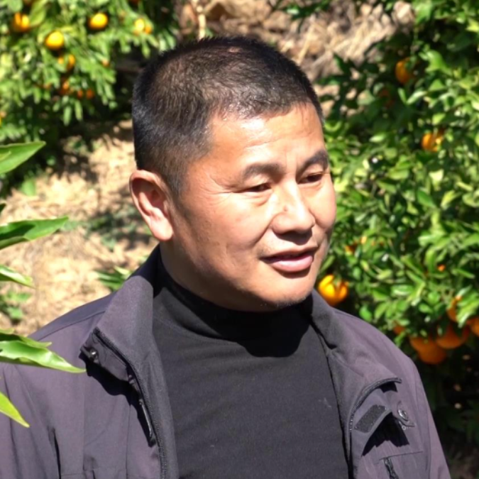 大理电视台