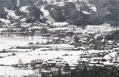 丽江日报