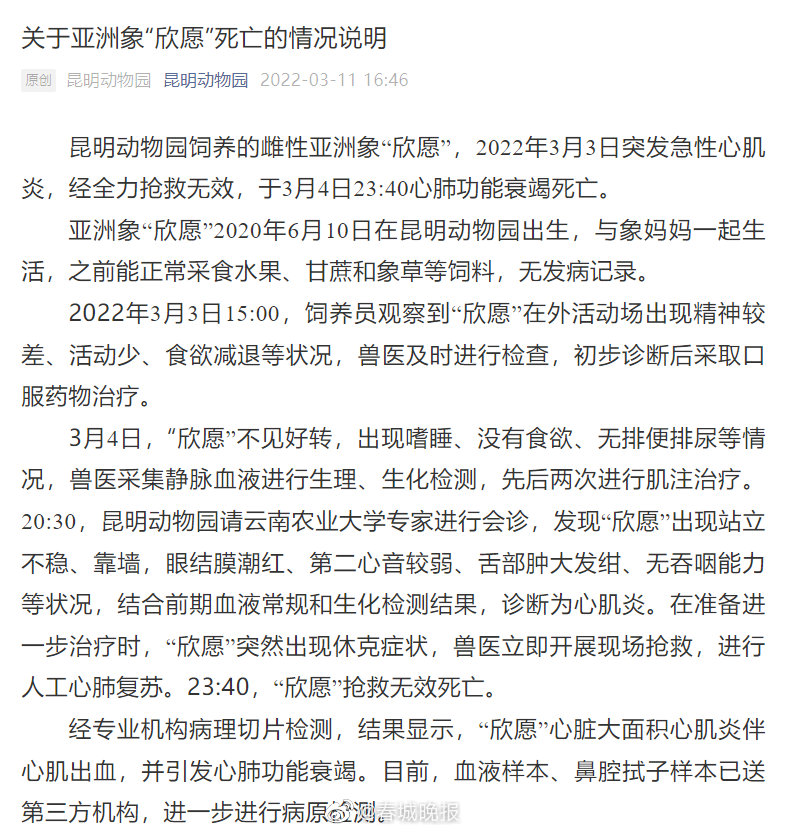 关于亚洲象欣愿死亡的情况说明
