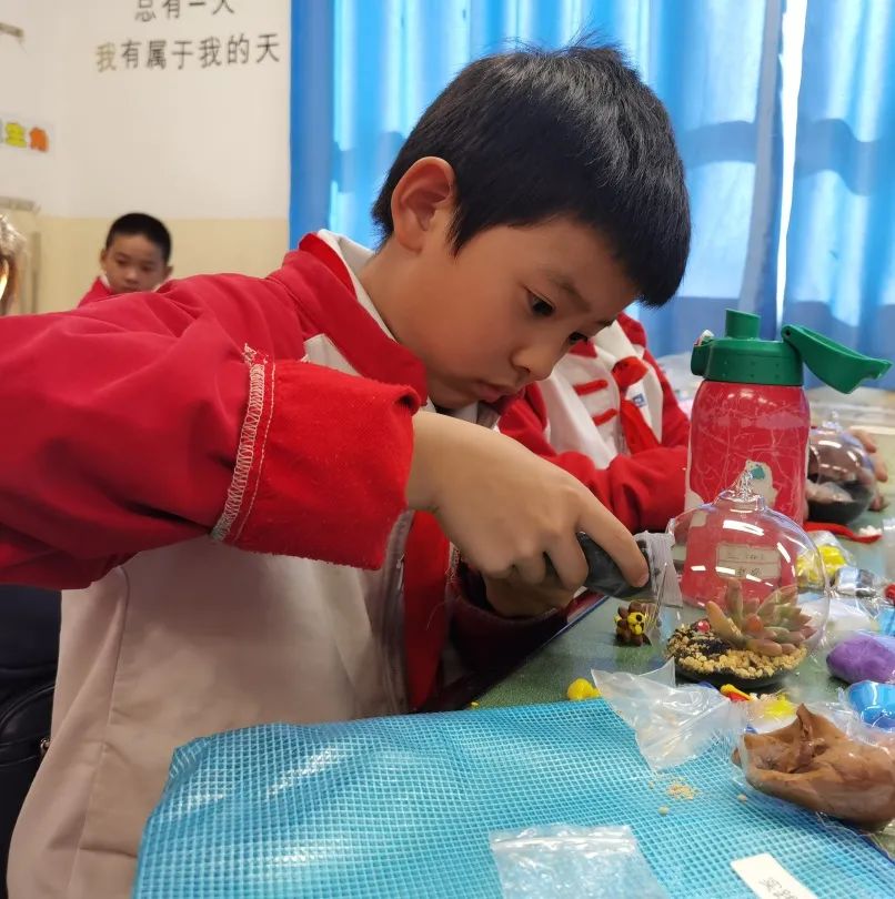 盘龙教育(微信)