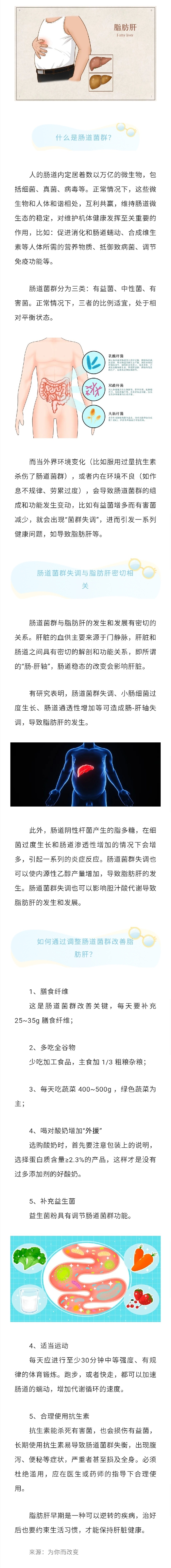 肝太“胖”了 可能是肠道菌群在作祟