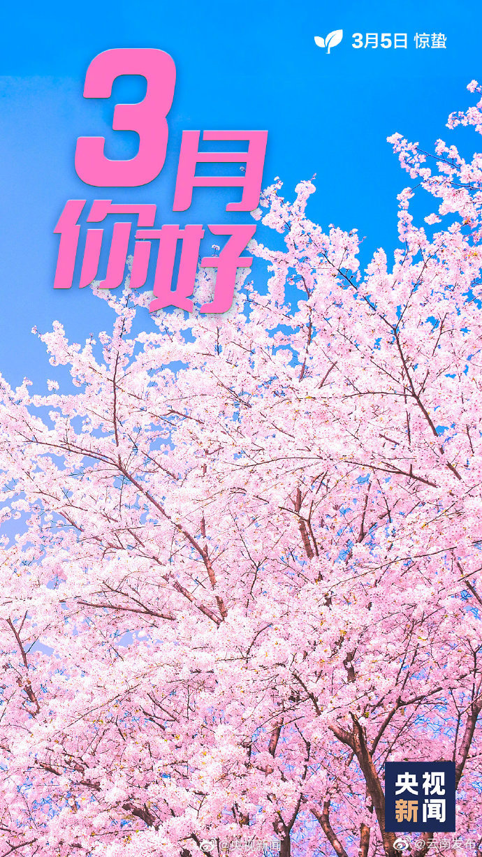 “云南发布”微博