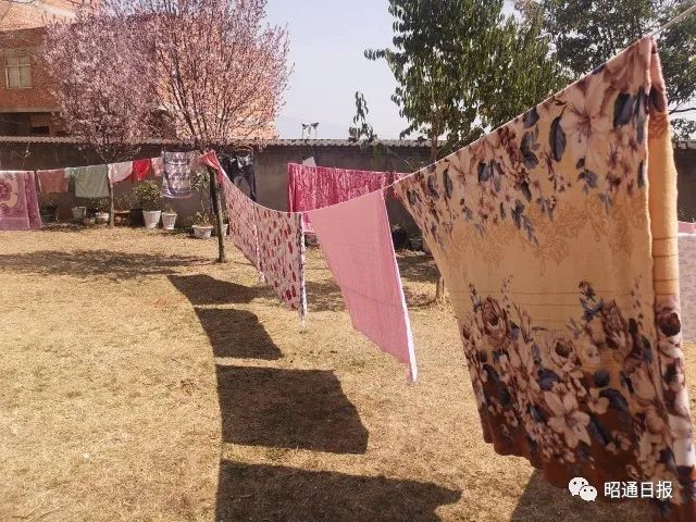 昭通日报
