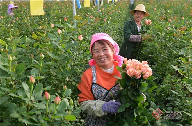 玉溪发布
