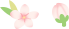 盘龙共青团