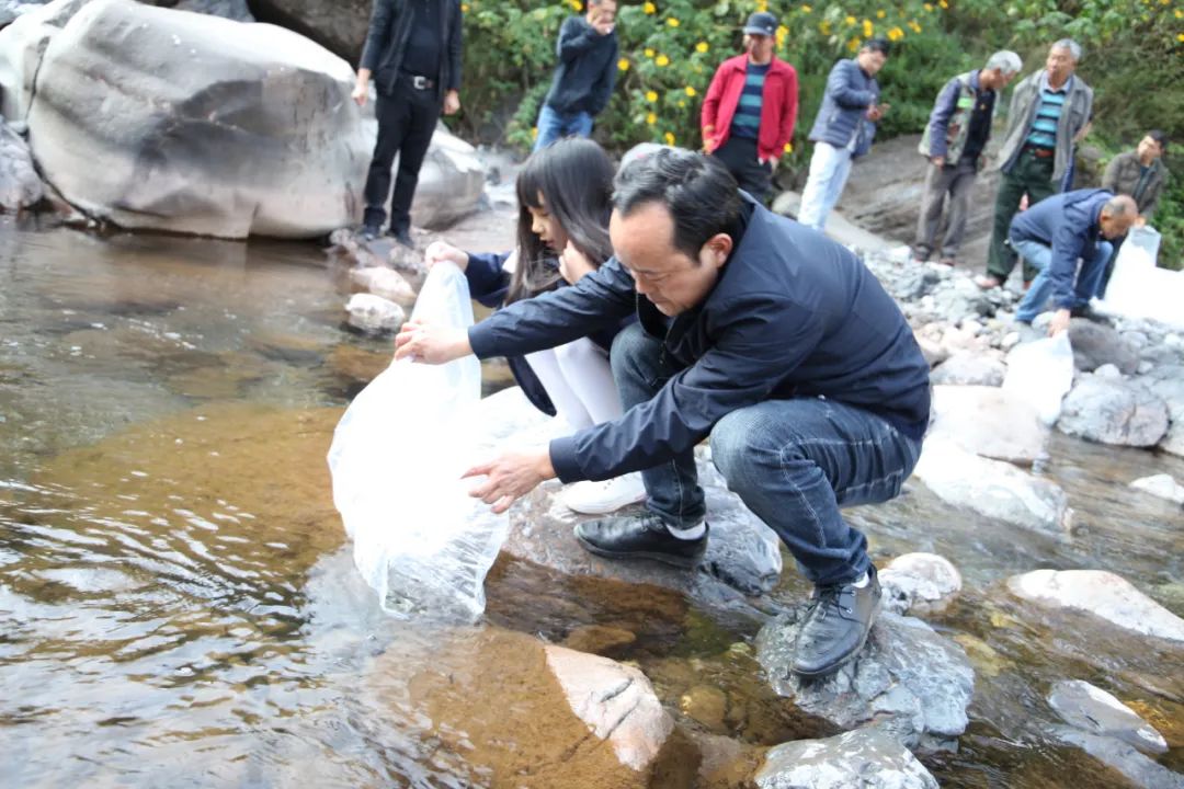 东川发布(微信)