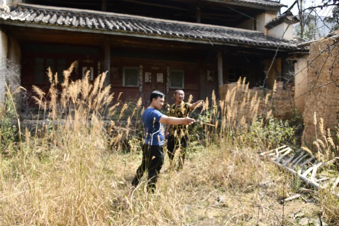大理日报
