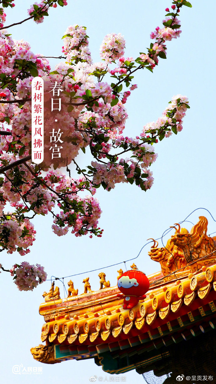 呈贡发布