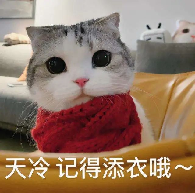 昆明交警