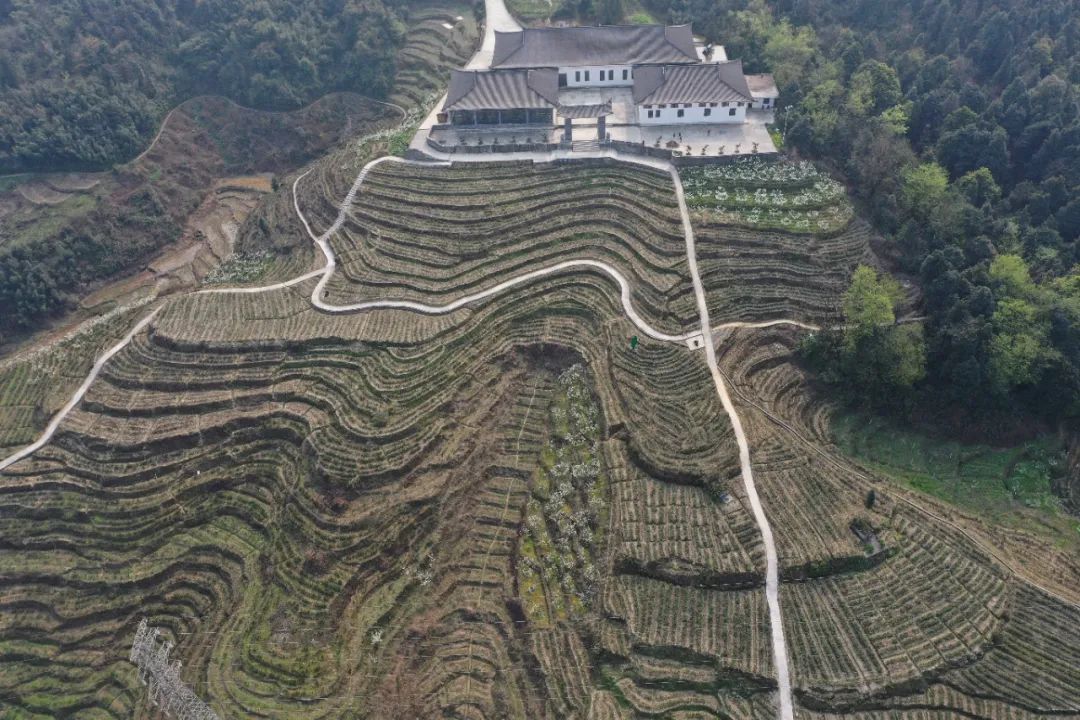 昭通日报