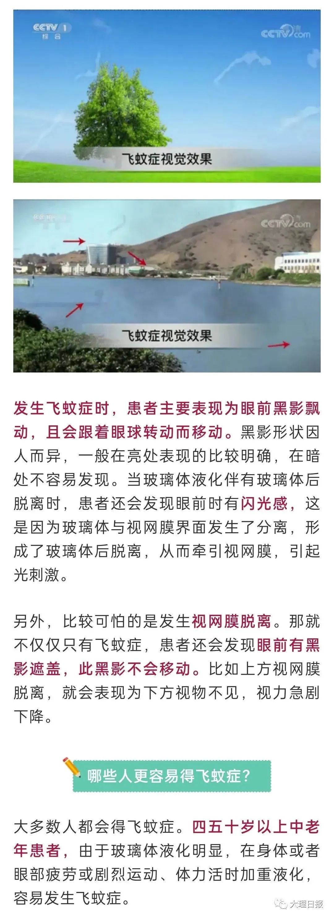 大理日报