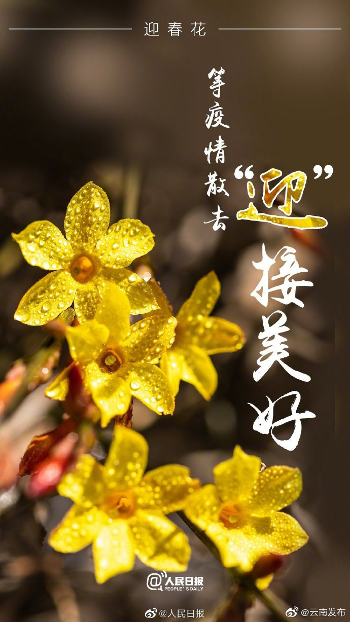 “云南发布”微博