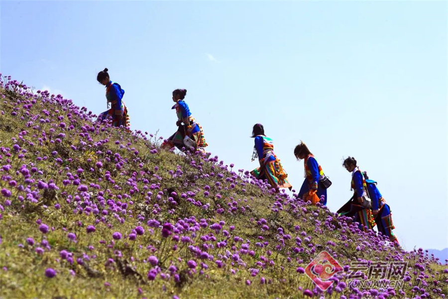 云南省文化和旅游厅