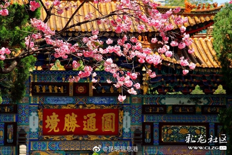 昆明信息港