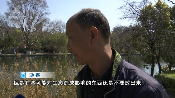 昆明信息港/cnkmxxg