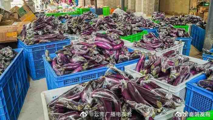 嵩明发布
