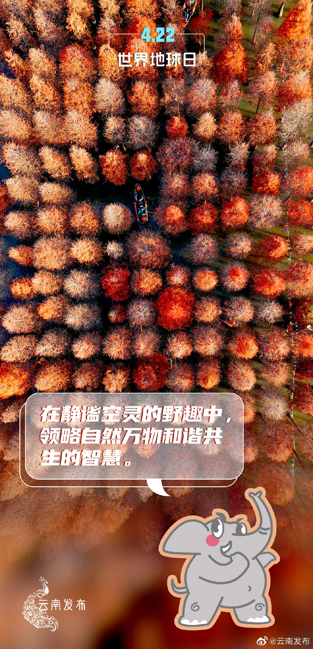 “云南发布”微博