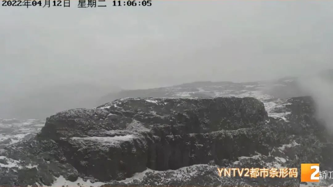 掌上春城微信公众号