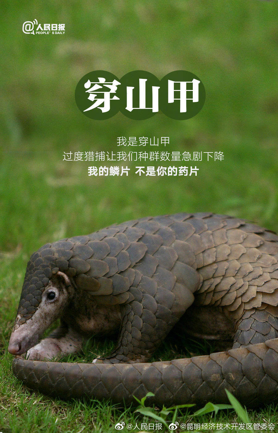 昆明经济技术开发区管委会