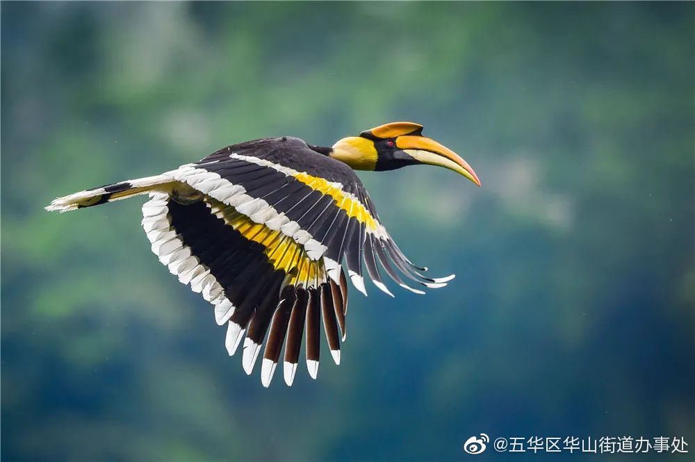 五华区华山街道办事处