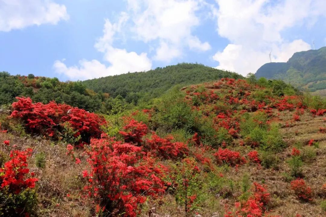东川发布(微信)