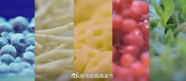 昆明盘龙发布