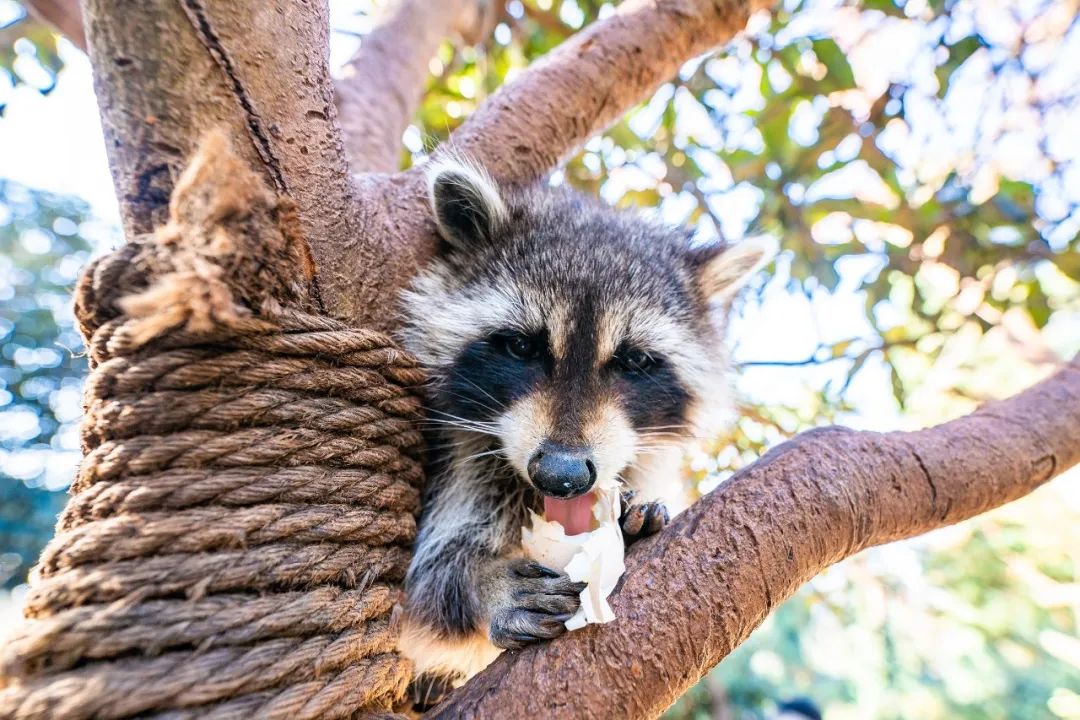 云南野生动物园