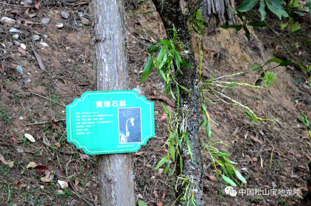 保山新闻网