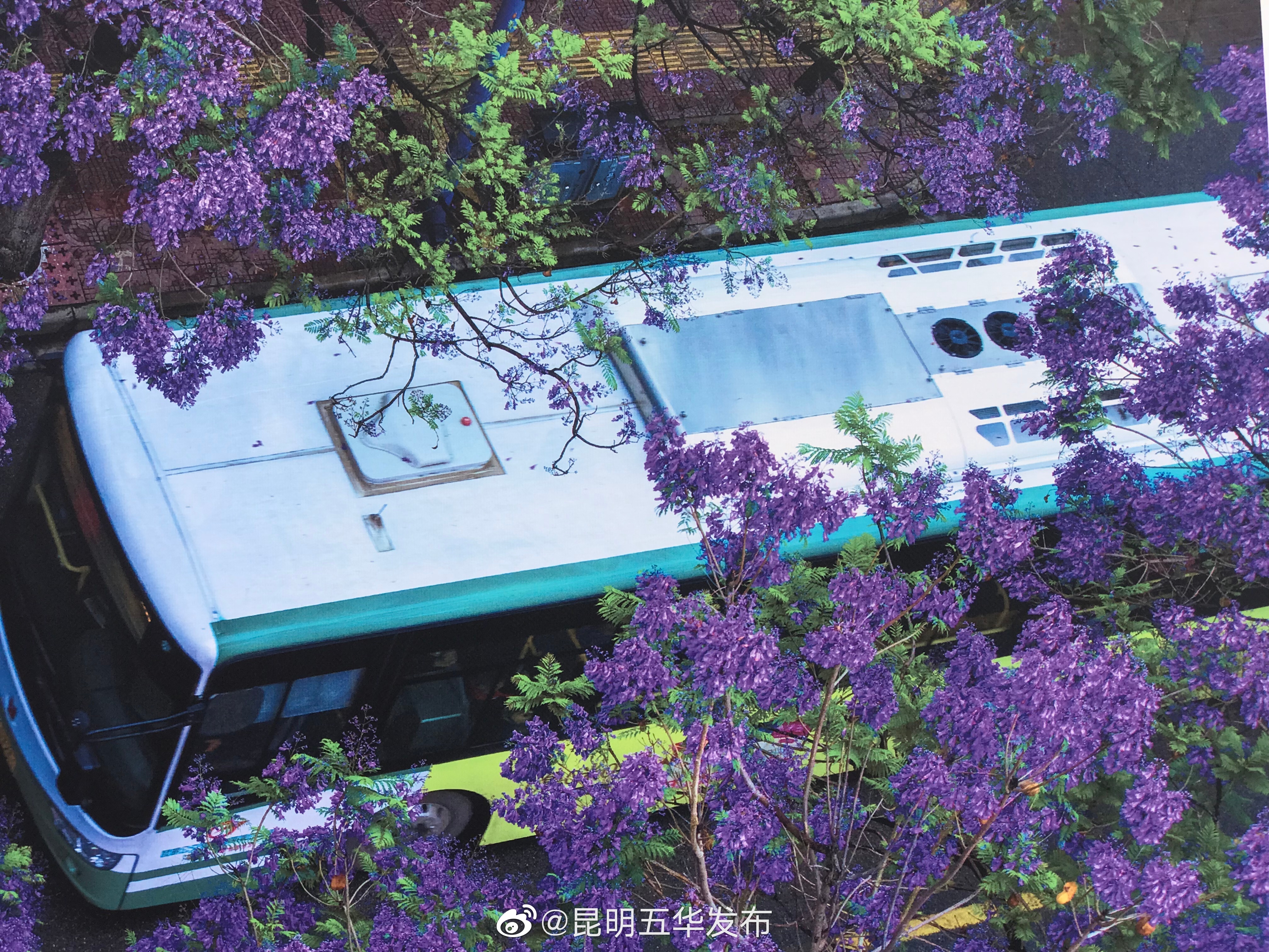 “昆明五华发布”微博