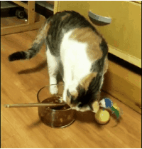 “昆明五华发布”微博