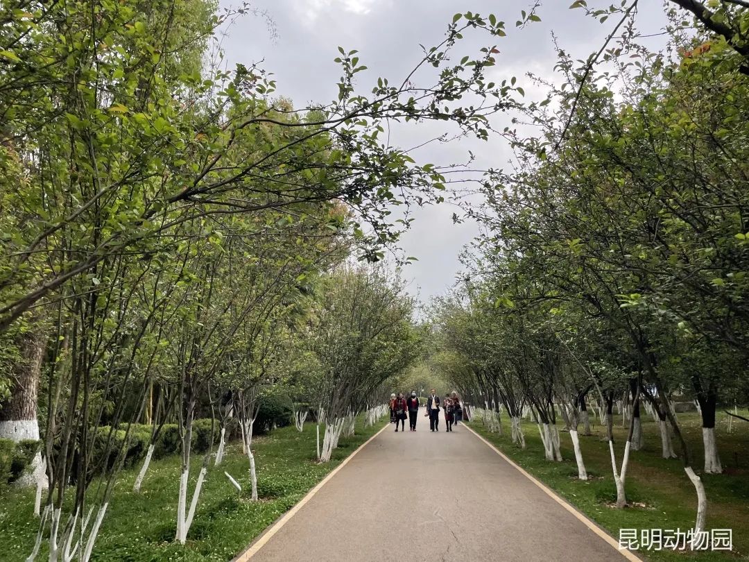 昆明动物园