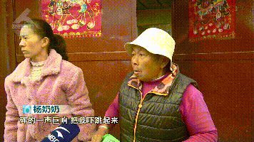 春城晚报
