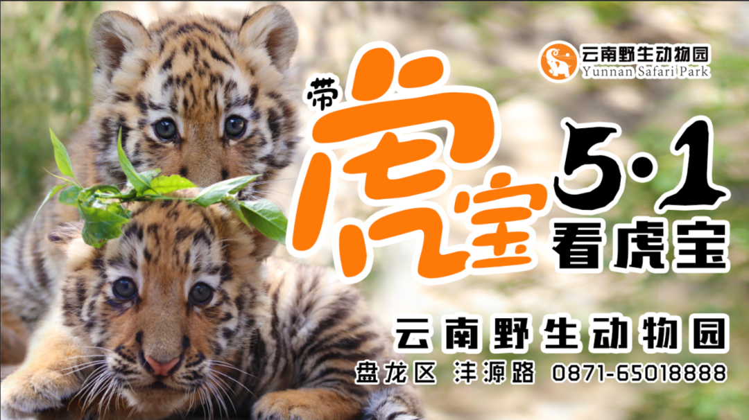 云南野生动物园