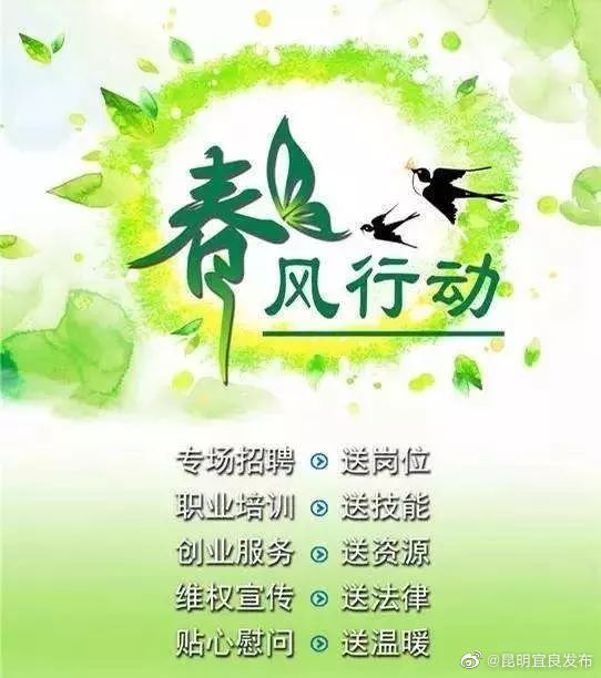 招人啦!!!