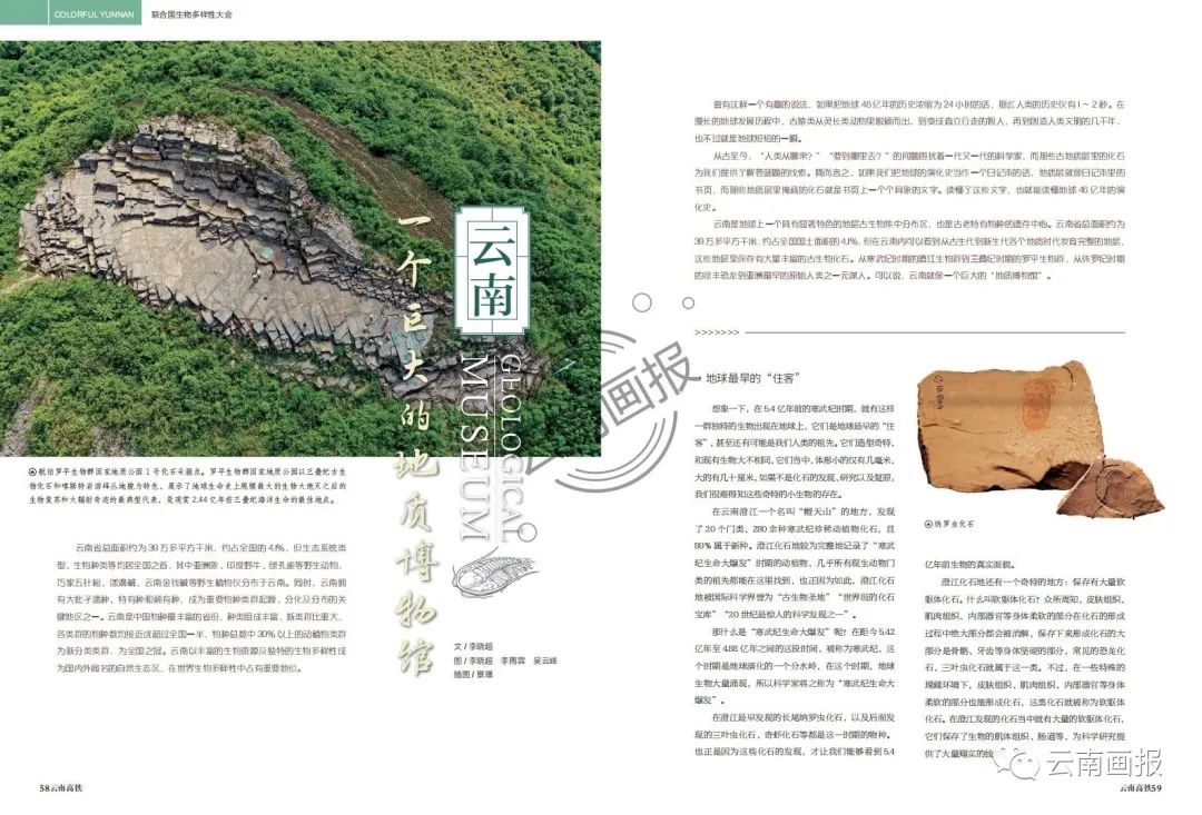 云南信息报