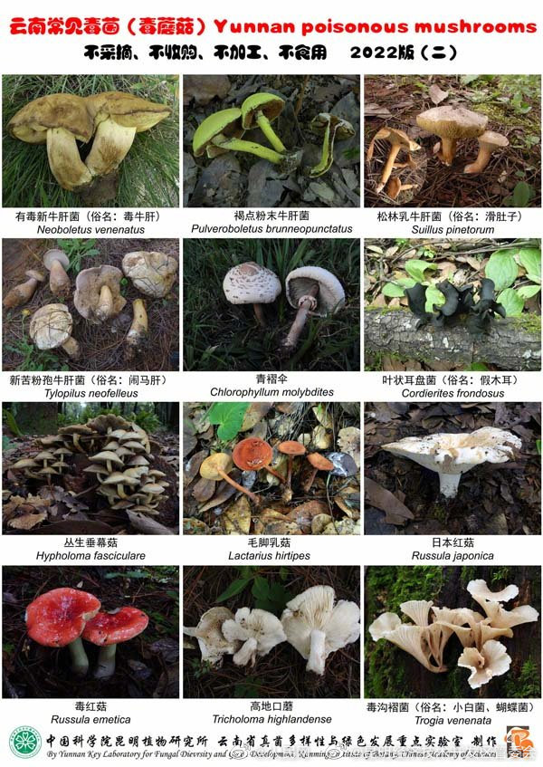 昆明经济技术开发区管委会