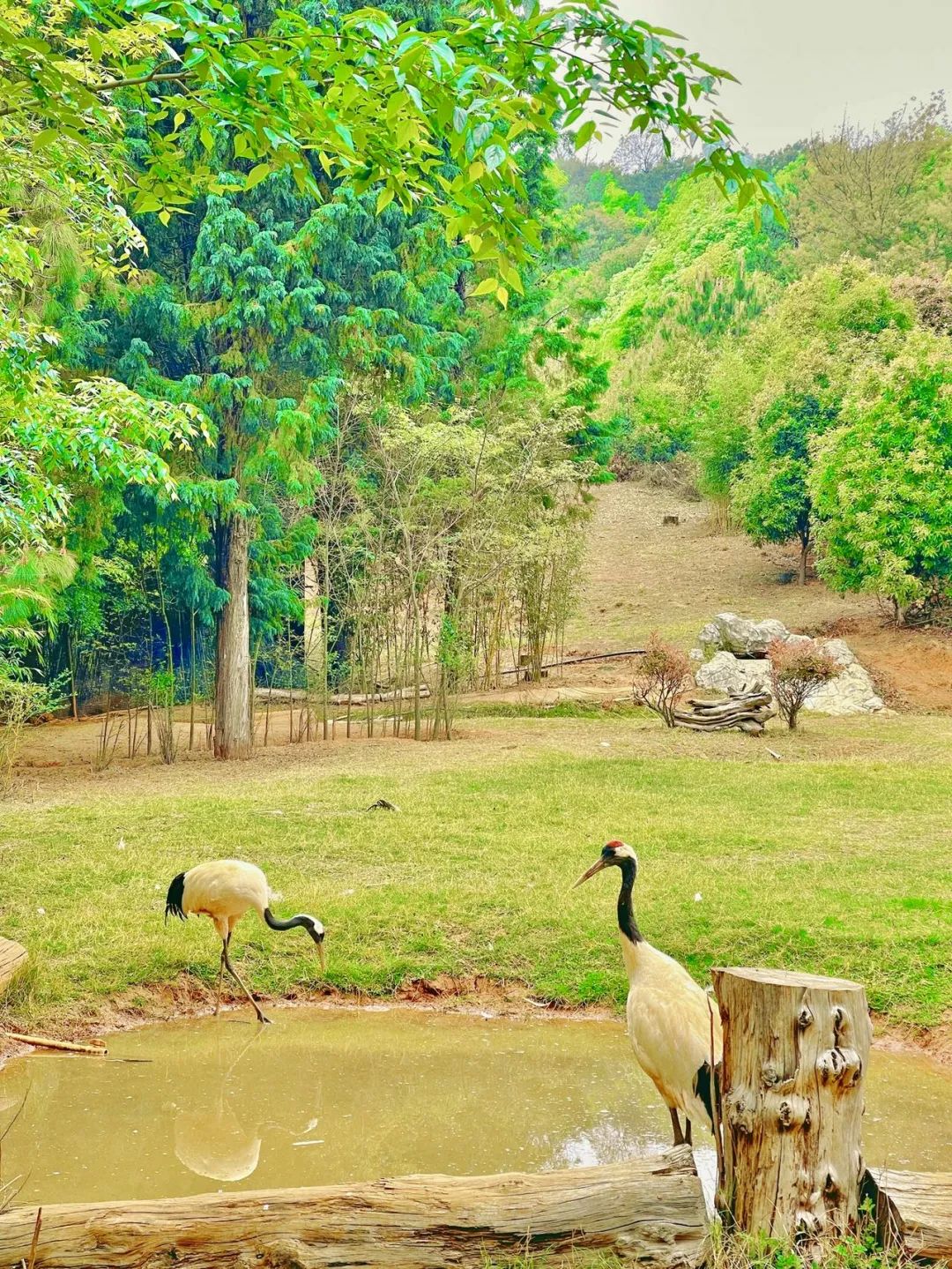 云南野生动物园