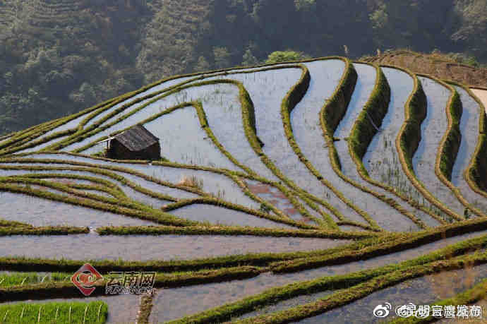 “昆明官渡发布”微博