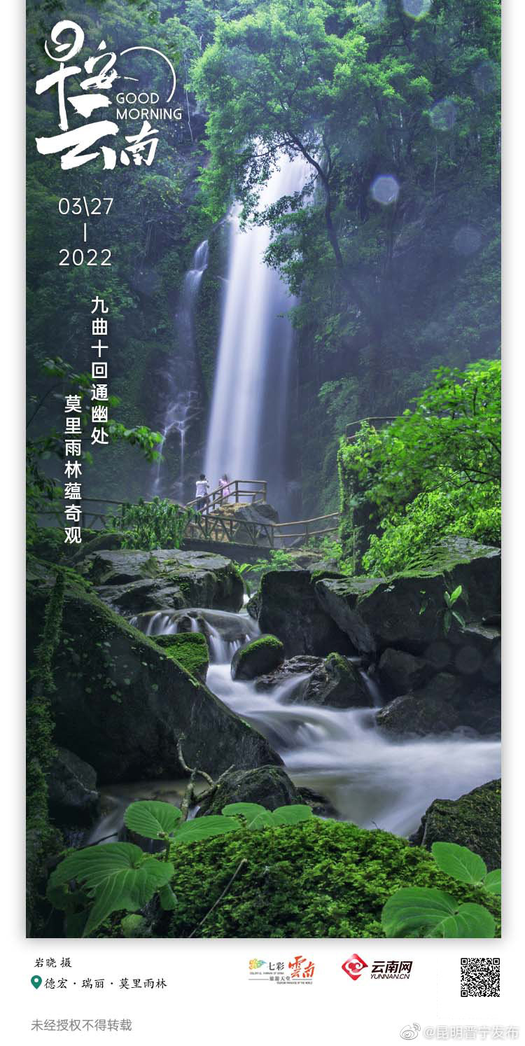 山色空蒙里听泉观瀑, 雨林风光远不止草木绿意