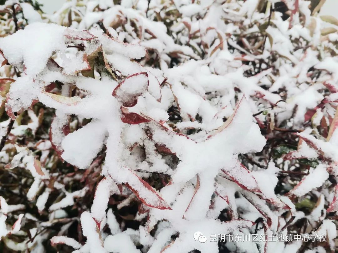 东川教育(微信)